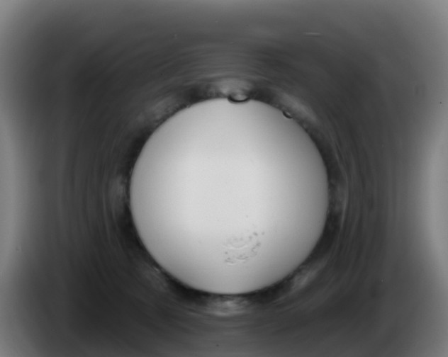 X0000086300321200704201947