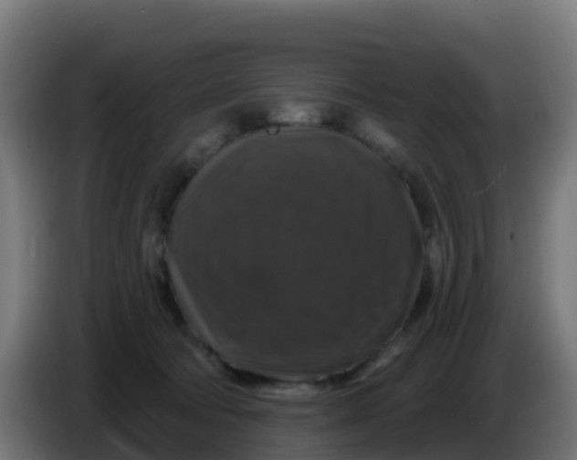 X0000086300322200704201947