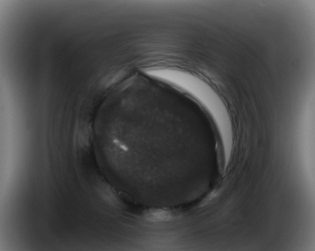 X0000086300325200704201947