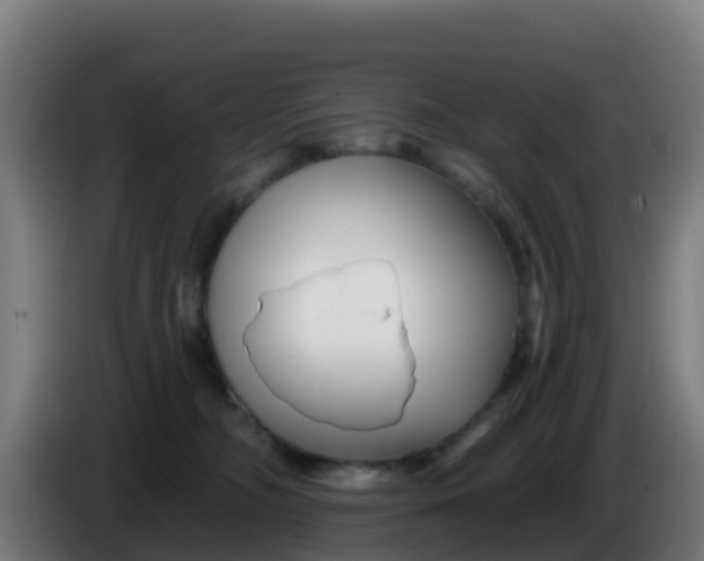 X0000086300326200704201947