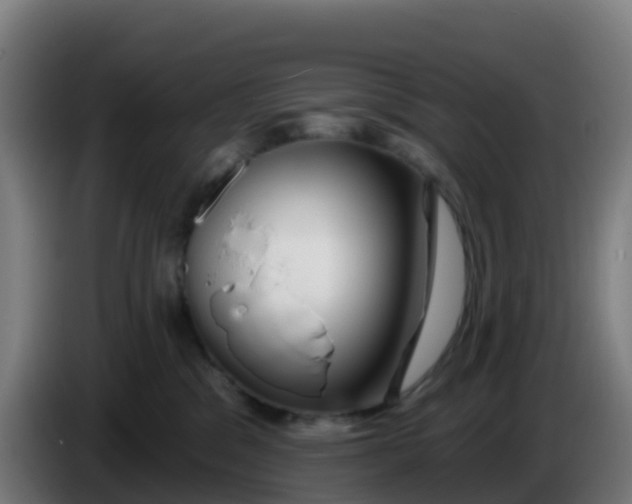 X0000086300329200704201947