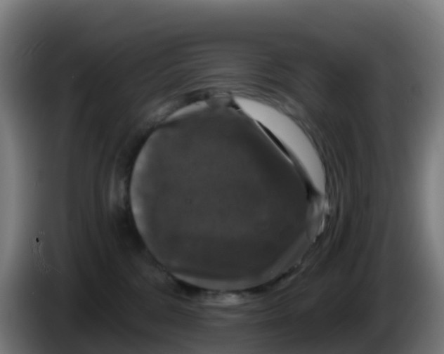 X0000086300330200704201947