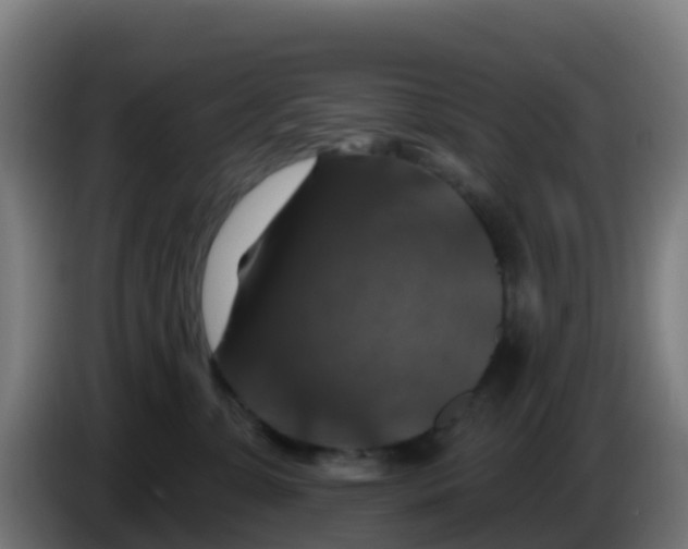 X0000086300331200704201947