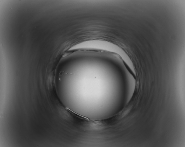 X0000086300333200704201947