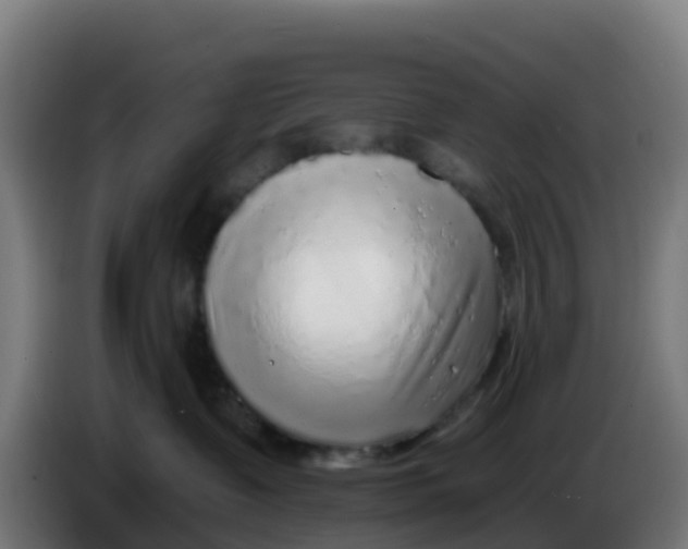 X0000086300335200704201947