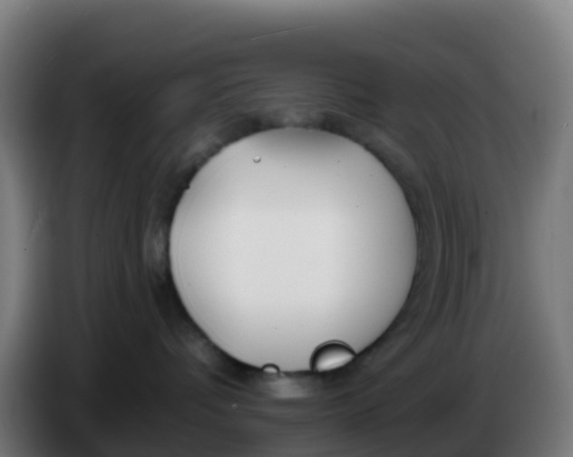 X0000086300336200704201947