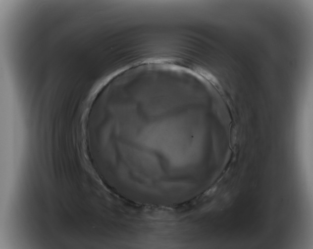 X0000086300337200704201946