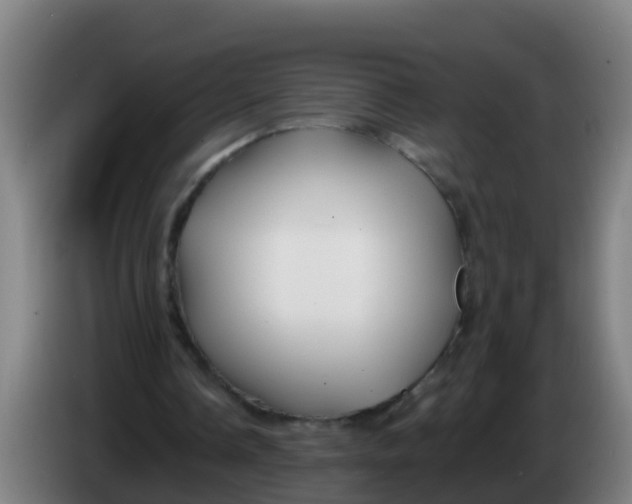 X0000086300338200704201947