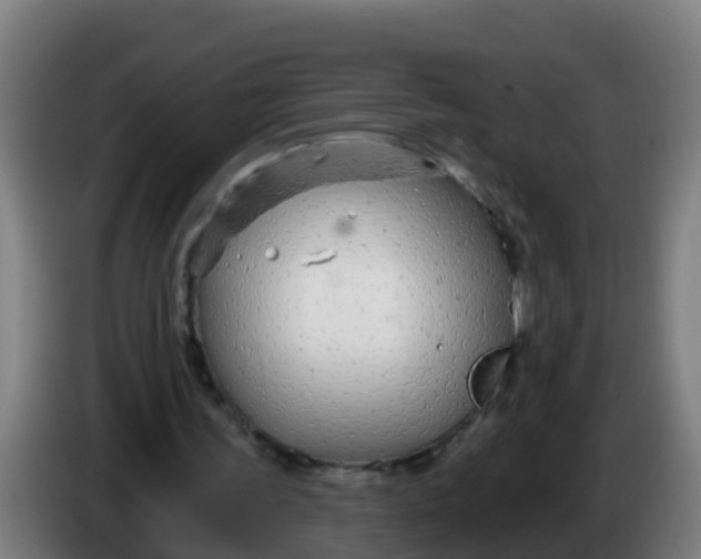 X0000086300339200704201947