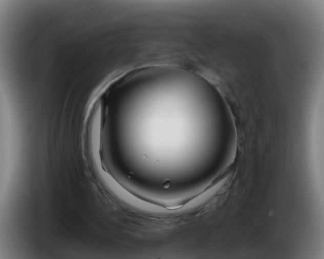 X0000086300340200704201947