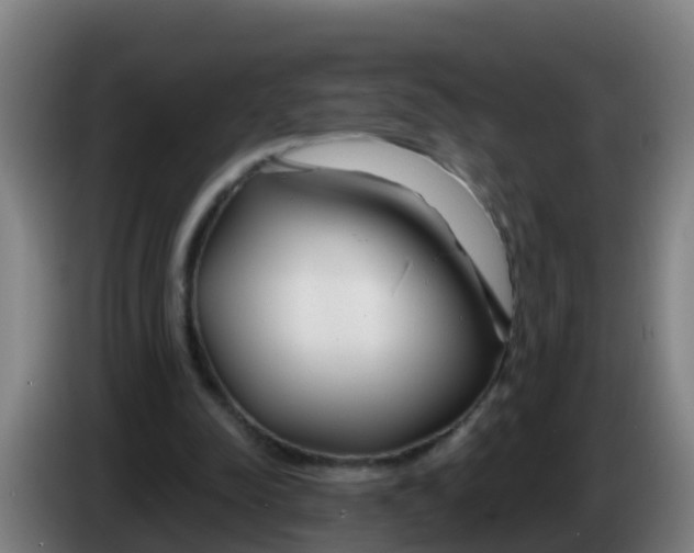 X0000086300342200704201947