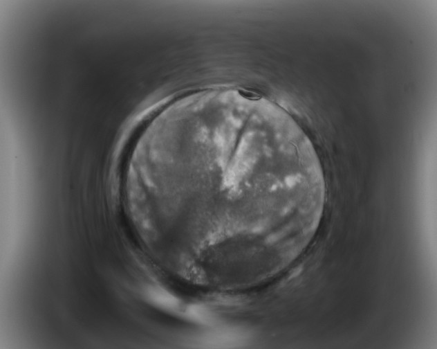 X0000086300343200704201947