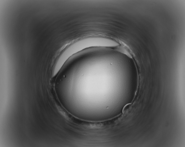 X0000086300345200704201947