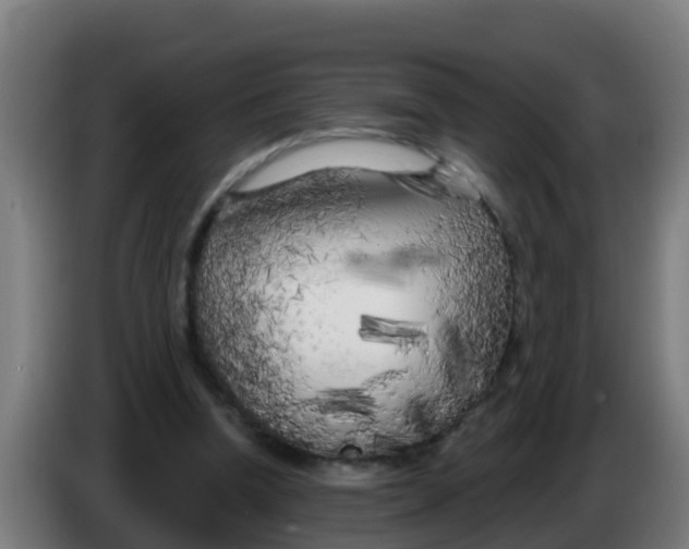 X0000086300346200704201947