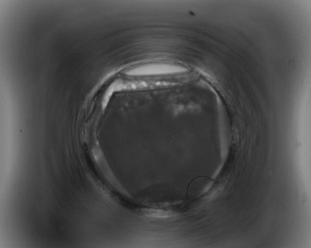 X0000086300347200704201947