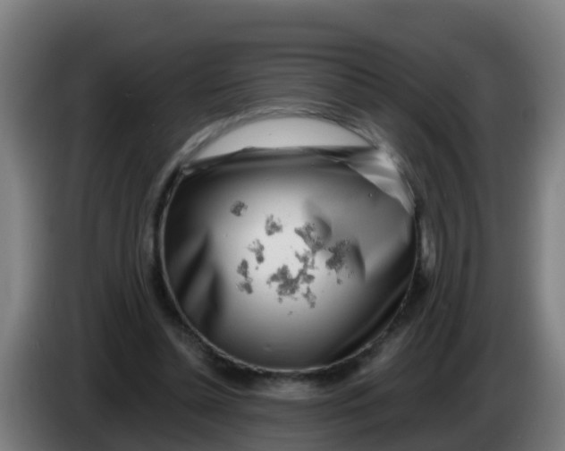 X0000086300348200704201947