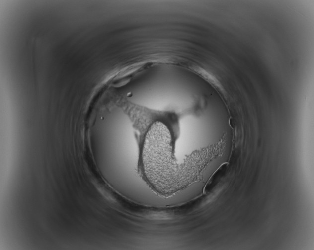 X0000086300349200704201947