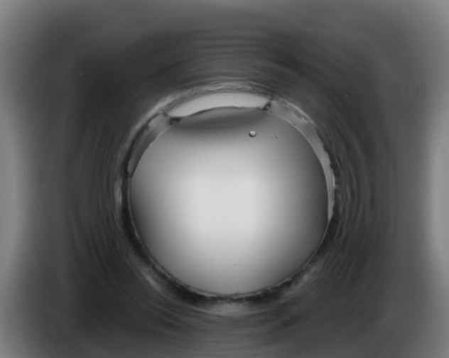 X0000086300350200704201947