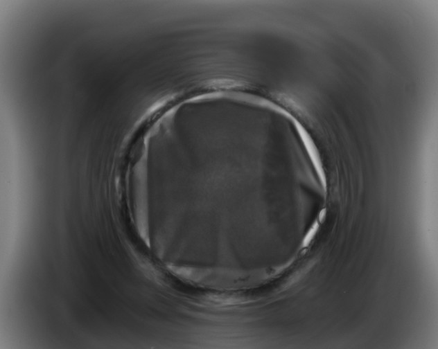 X0000086300351200704201947