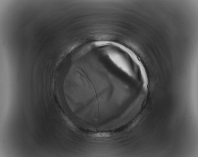 X0000086300353200704201947