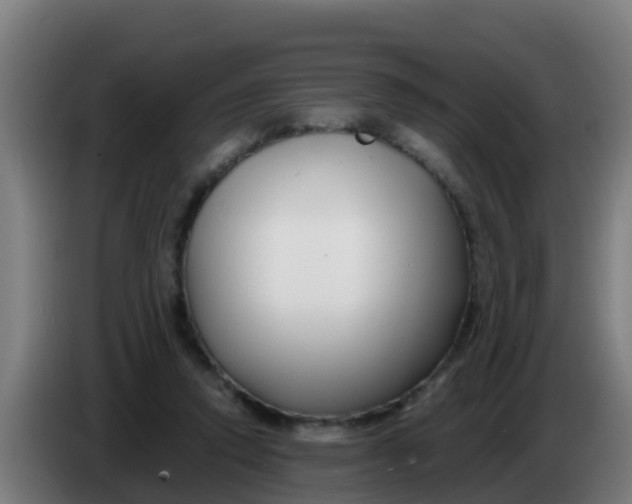 X0000086300354200704201947