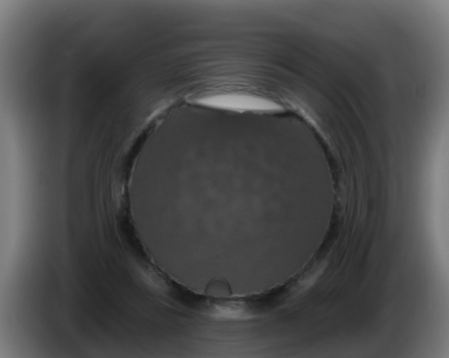 X0000086300355200704201947