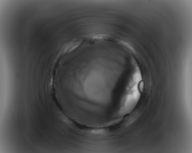 X0000086300357200704201947