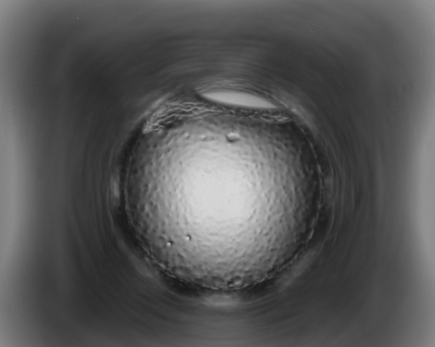 X0000086300358200704201947