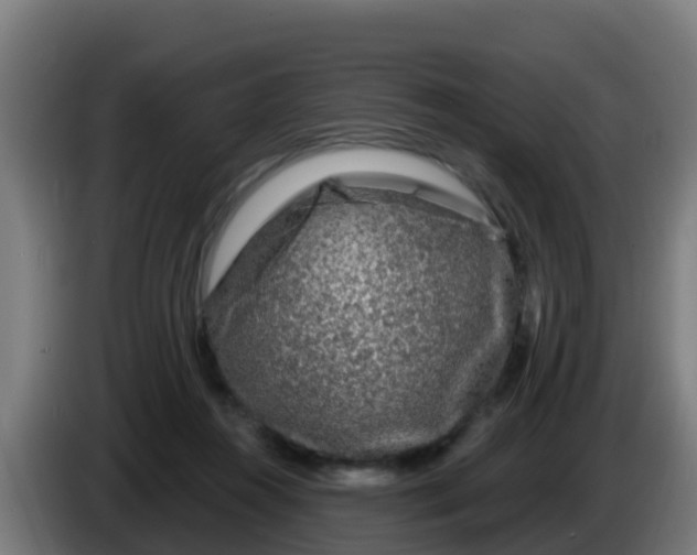 X0000086300360200704201947