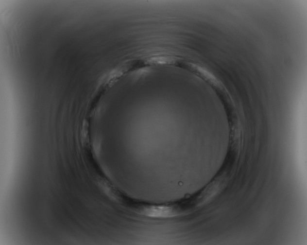 X0000086300361200704201947