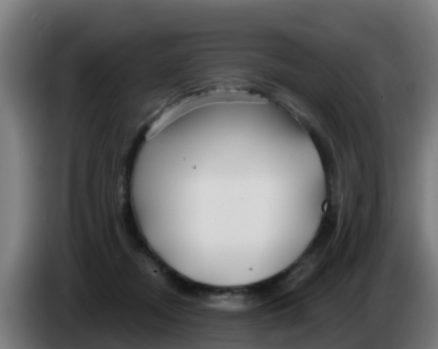 X0000086300362200704201947