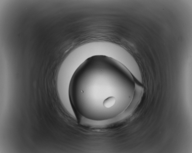 X0000086300364200704201947