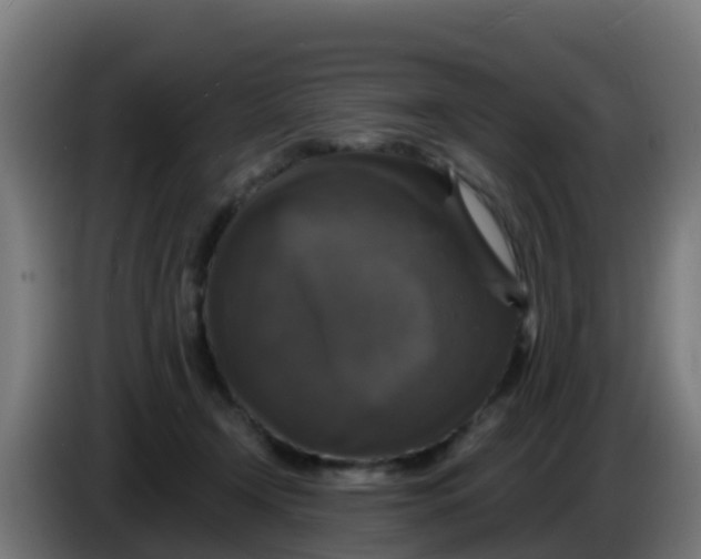 X0000086300366200704201947