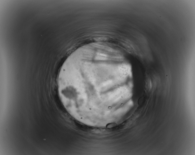 X0000086300367200704201947