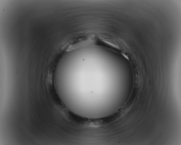 X0000086300368200704201947