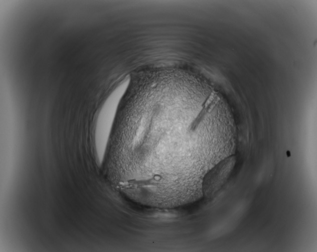 X0000086300369200704201947