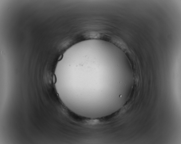 X0000086300374200704201947