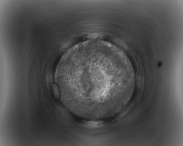 X0000086300375200704201947