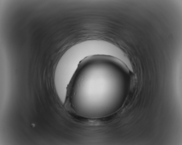 X0000086300376200704201947