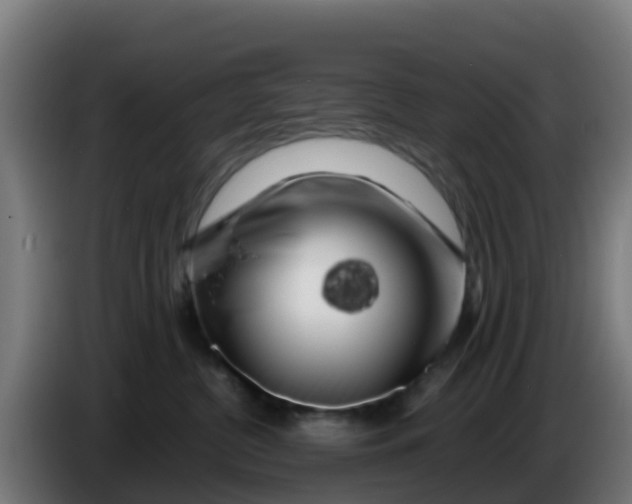 X0000086300380200704201947