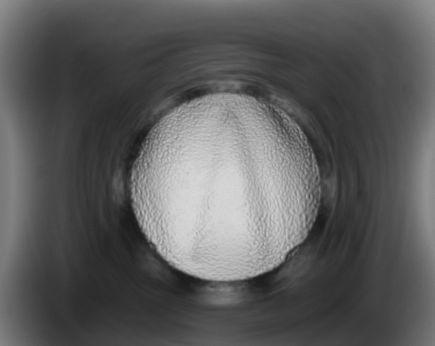 X0000086300381200704201947