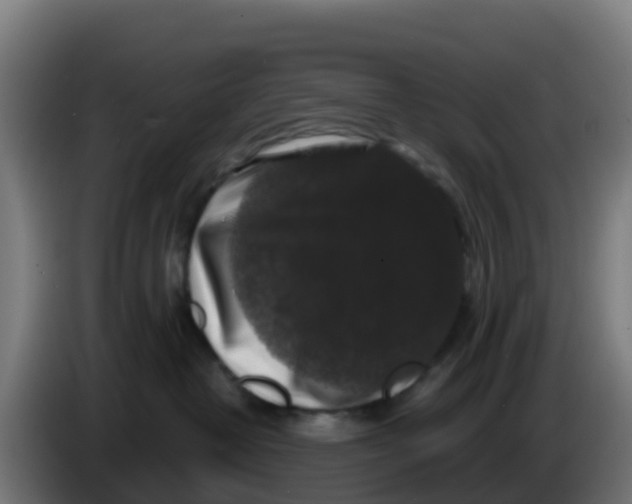 X0000086300382200704201947