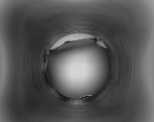 X0000086300384200704201947