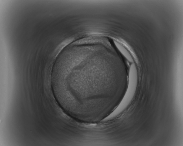 X0000086300385200704201946