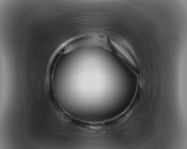 X0000086300388200704201946