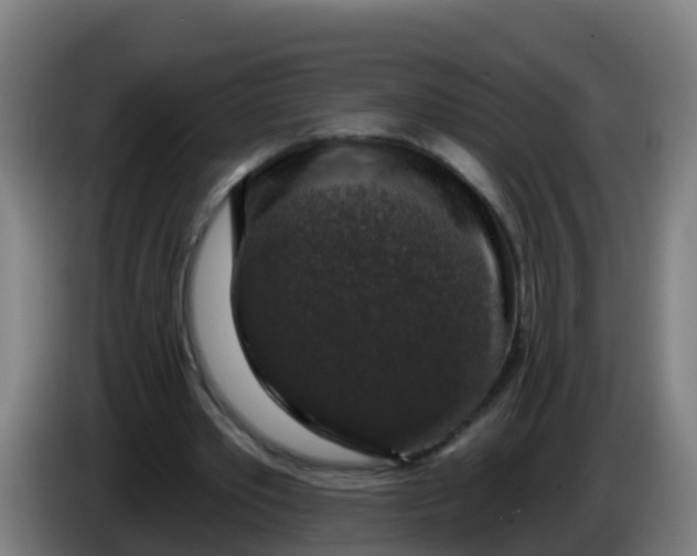 X0000086300389200704201946