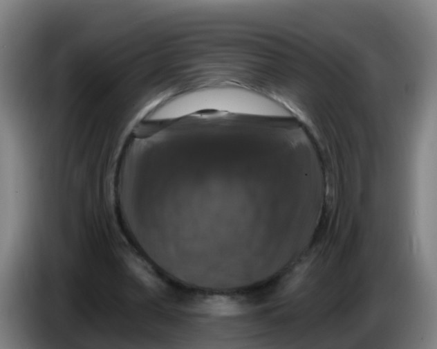 X0000086300390200704201946