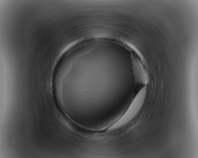 X0000086300391200704201946