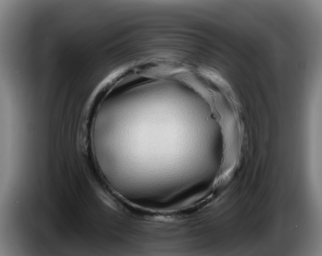 X0000086300392200704201946