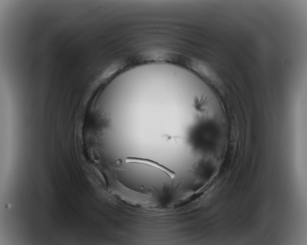 X0000086300394200704201946